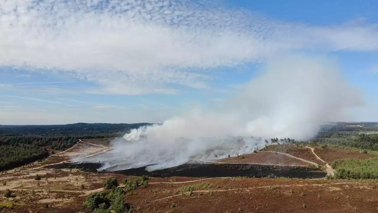 London and Surrey fires: Firefighters battle large blazes around the capital with one declared a 'major incident'