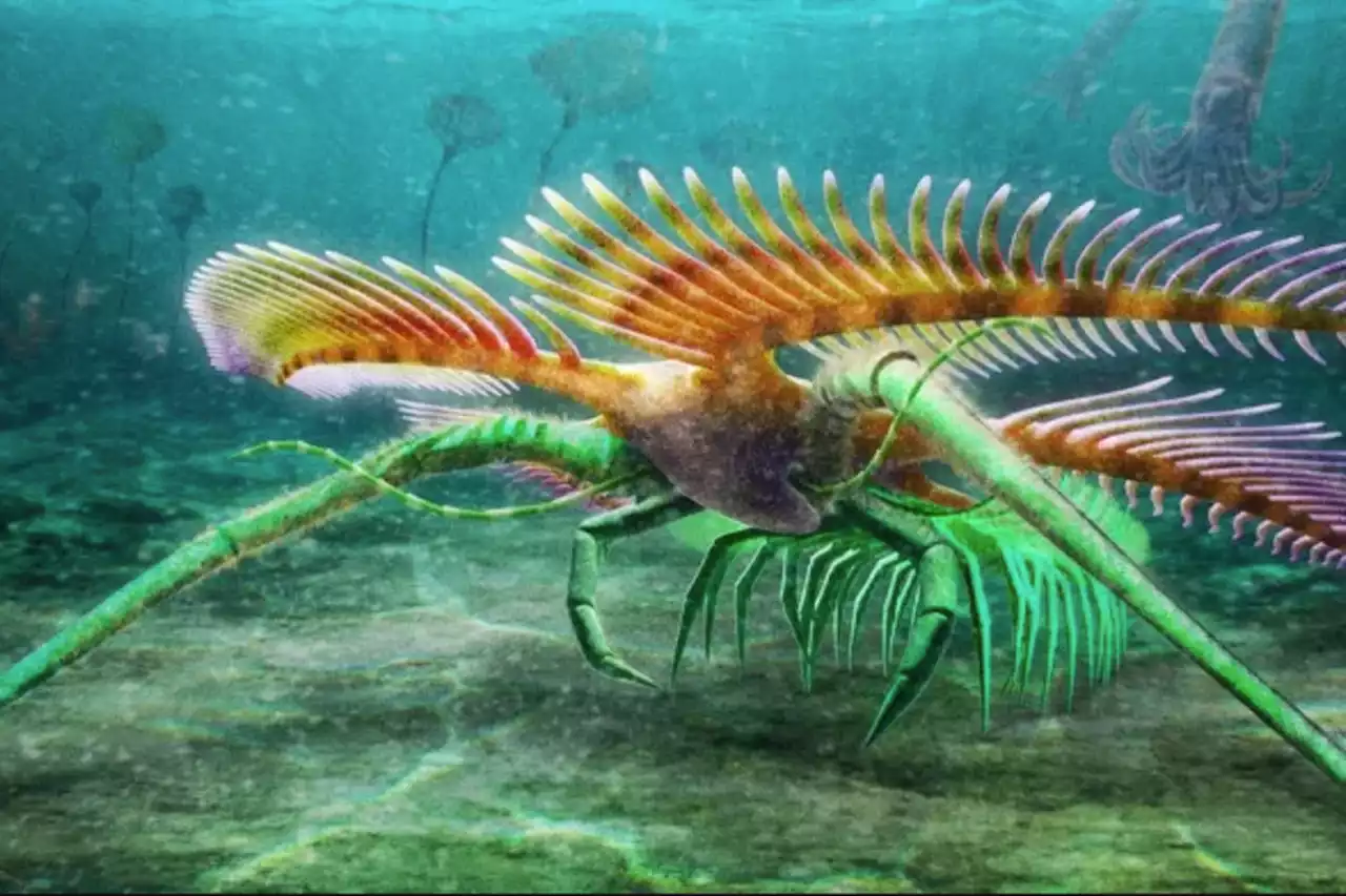 BEYOND LOCAL: Southern Ontario fossil tells more about arthropod evolution