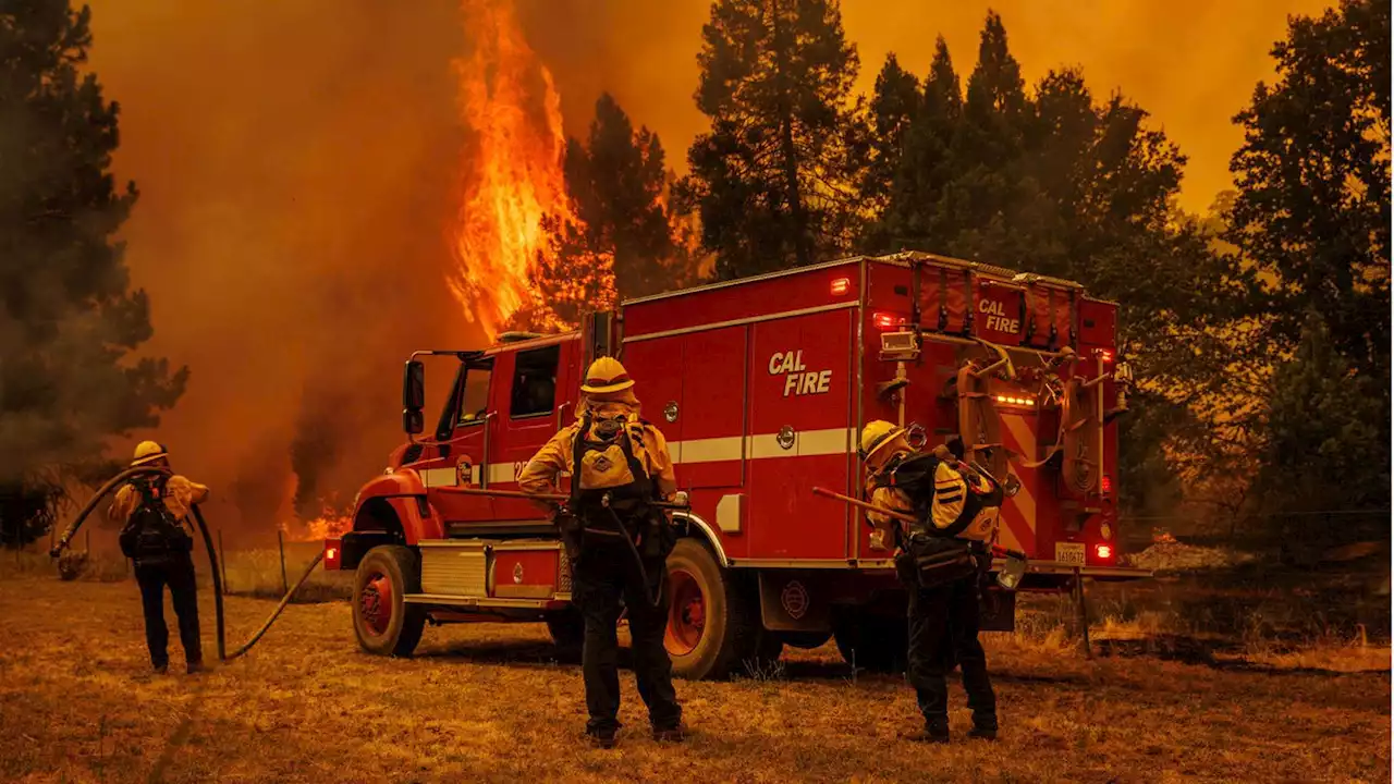 'Explosiver' Waldbrand wütet in Kalifornien nahe Yosemite Nationalpark