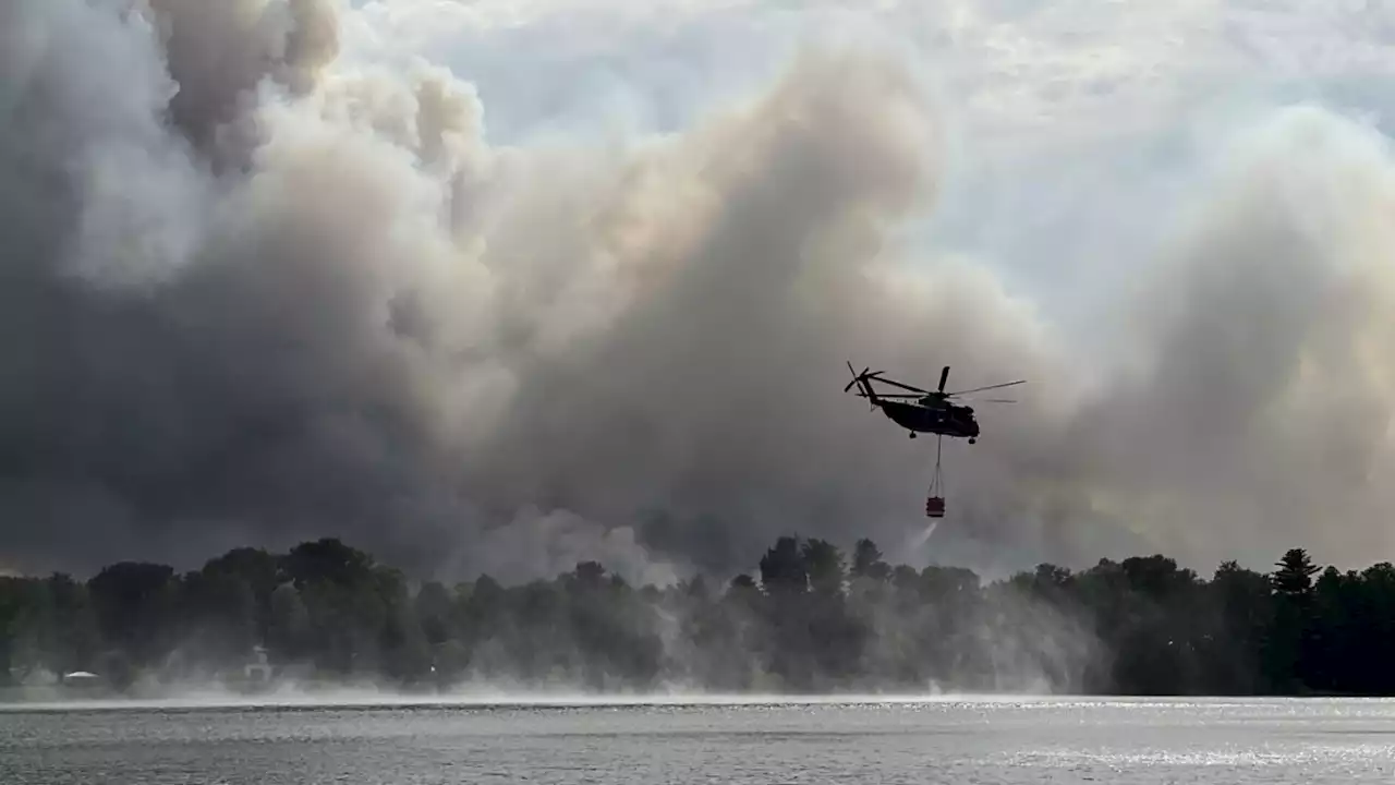 Waldbrände: Bund soll sich mehr bei Brandbekämpfung engagieren