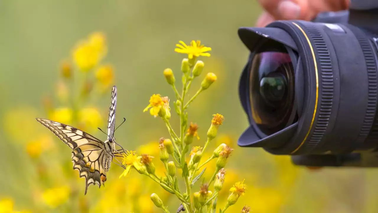 The 5 mistakes I see beginners make when buying a DSLR or mirrorless camera