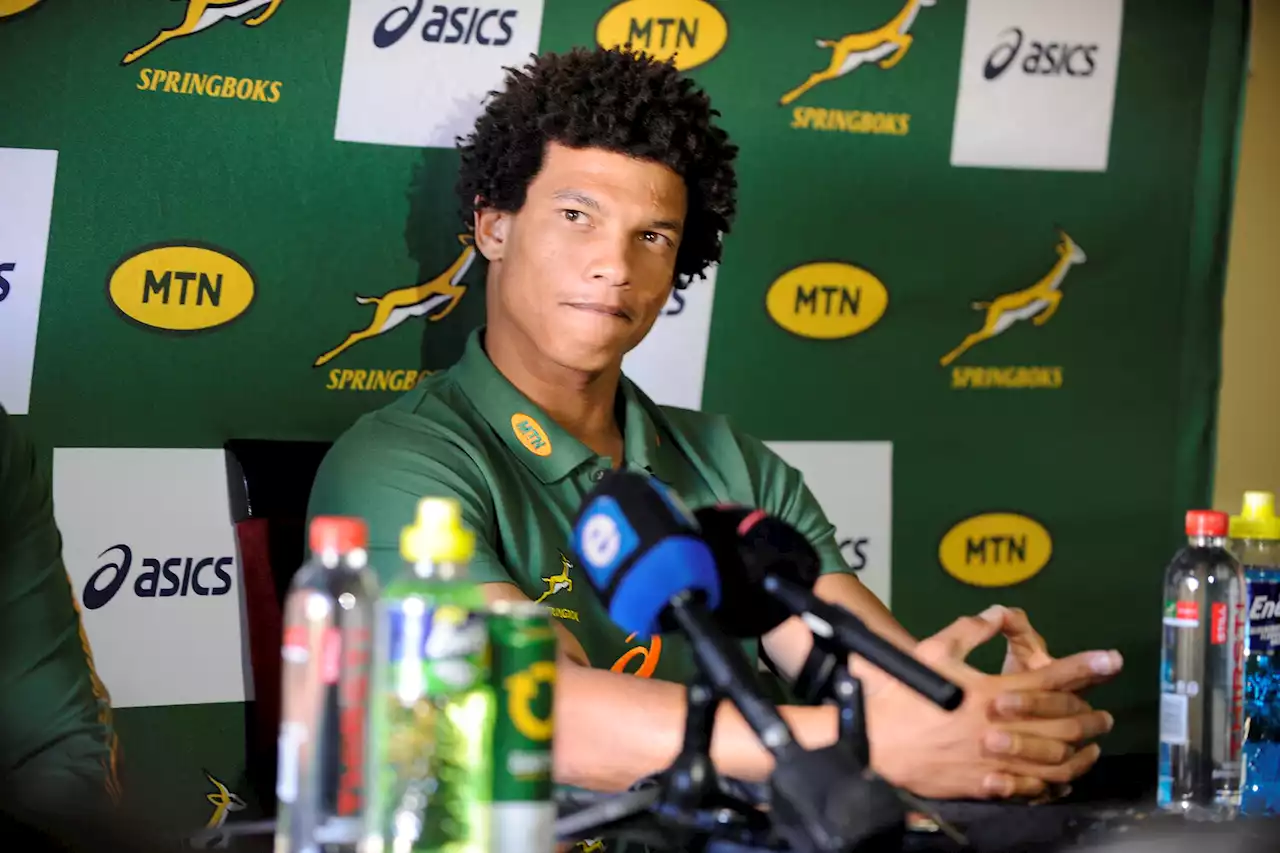 All Blacks Tests: Bok coach Nienaber's options to fill Kolbe's No 14 jersey | The Citizen