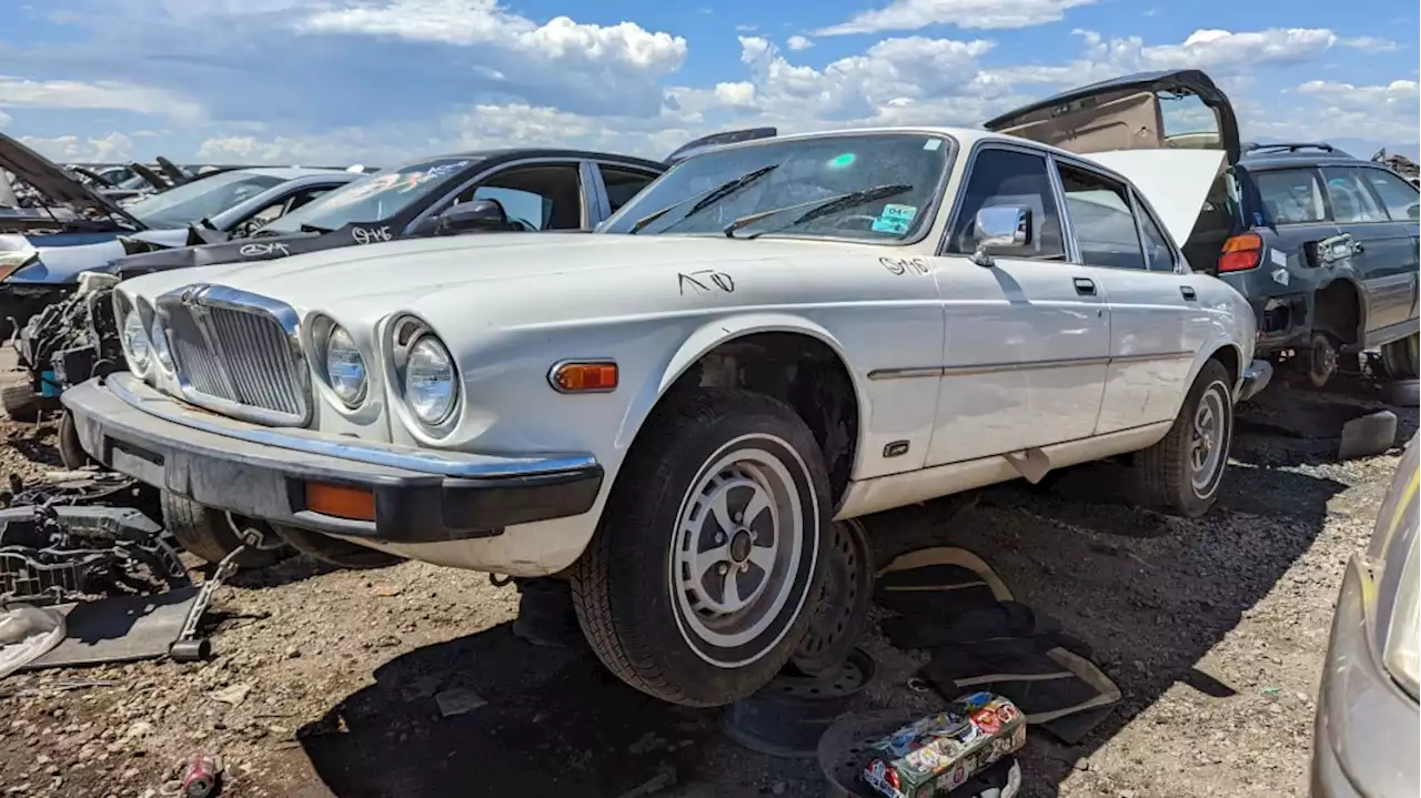 Junkyard Gem: 1984 Jaguar XJ6