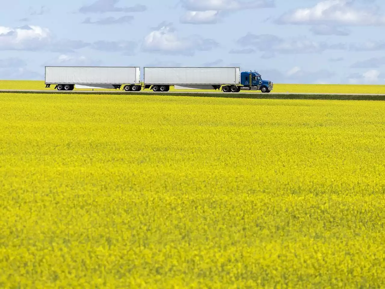 Heat, humidity has Sask. crops ripening fast; some storm damage