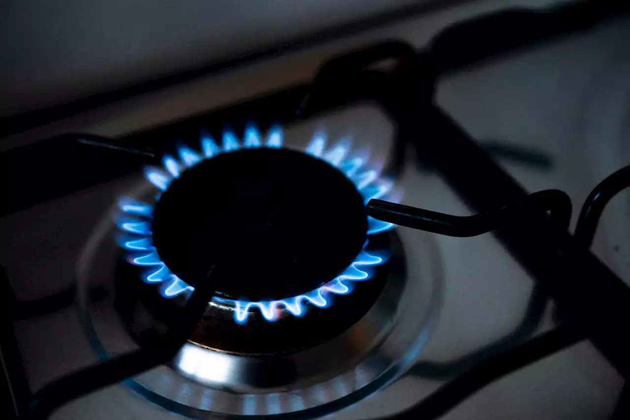 Households could be told to cut back on energy to avoid blackouts this winter