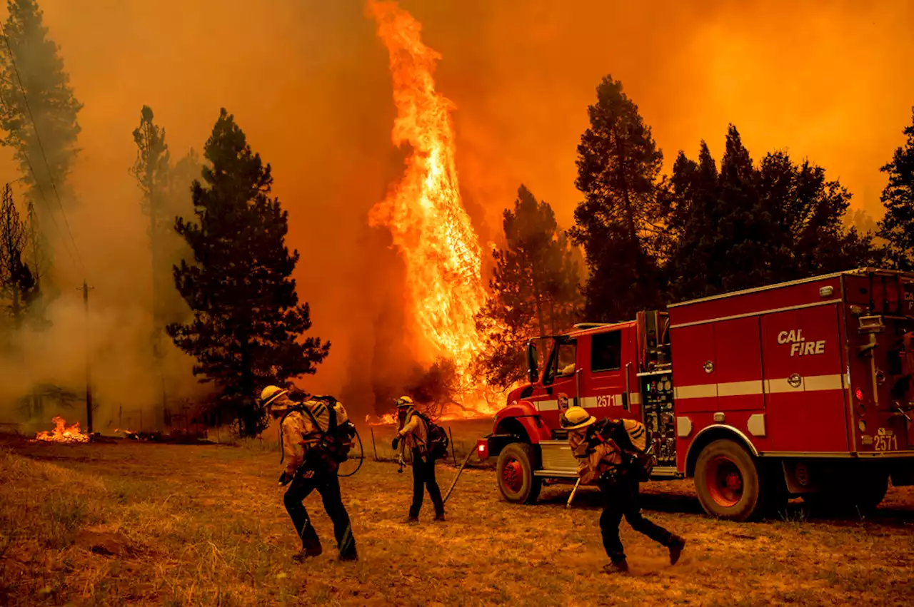 California Wildfire Burns Out of Control Near Yosemite