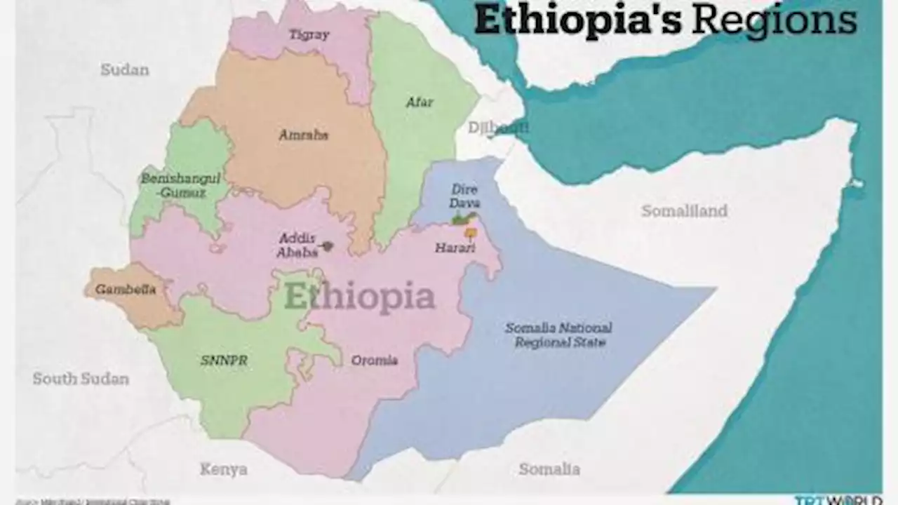 Ethiopia ‘destroys’ dozens of Al Shabab militants