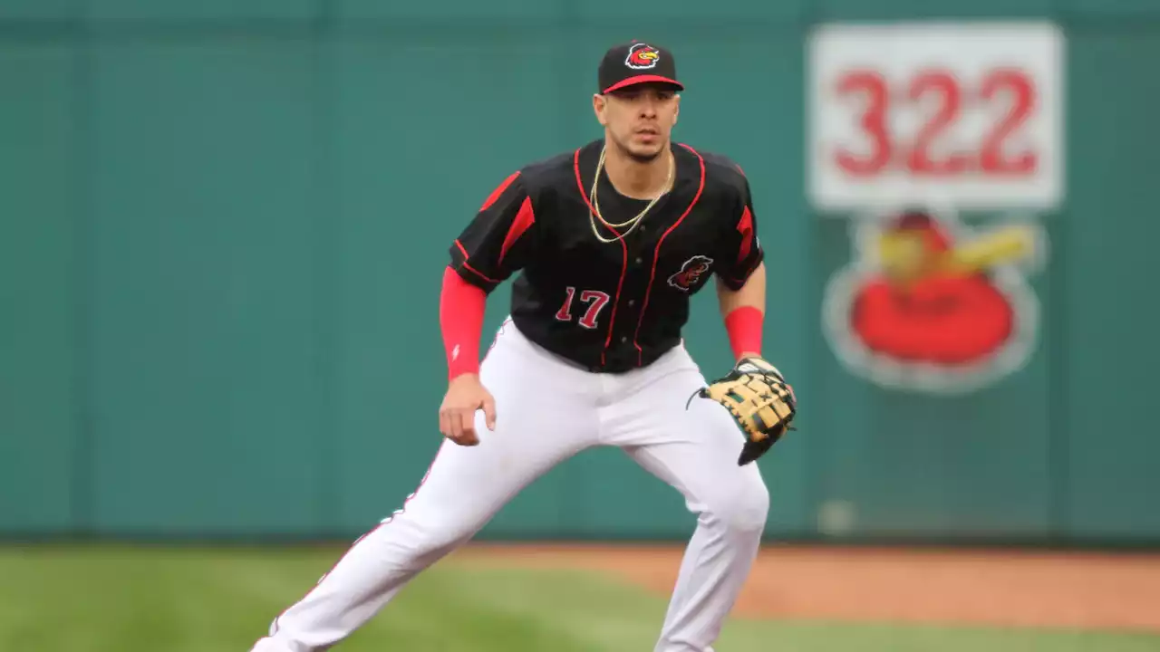 Joey Meneses, long a major-leaguer-in-waiting, might finally get his shot