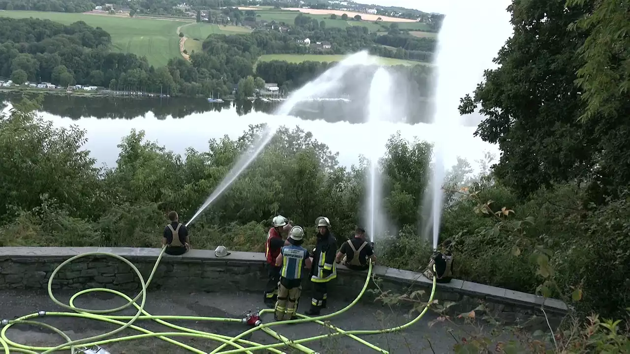 Waldbrandgefahr - Temperaturen in NRW erhöhen Risiko leicht