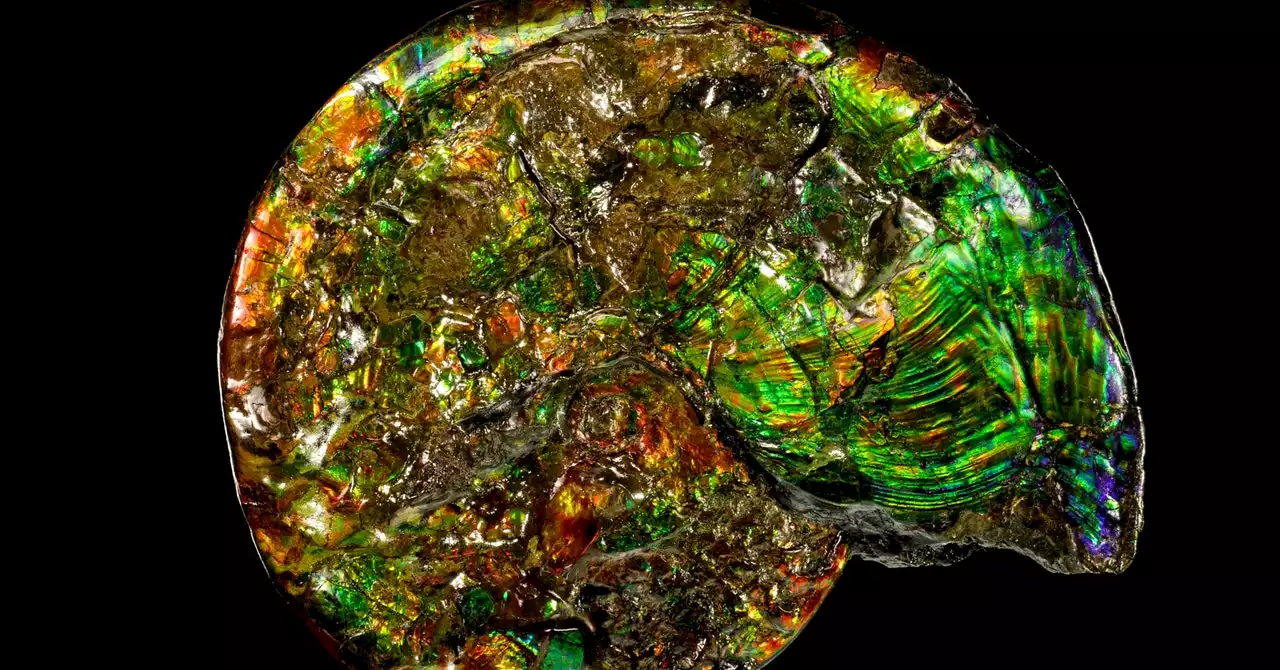 Life Helps Make Almost Half of All Minerals on Earth