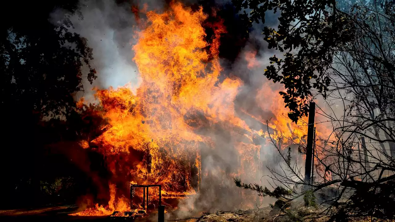 Thousands ordered to flee California wildfire near Yosemite