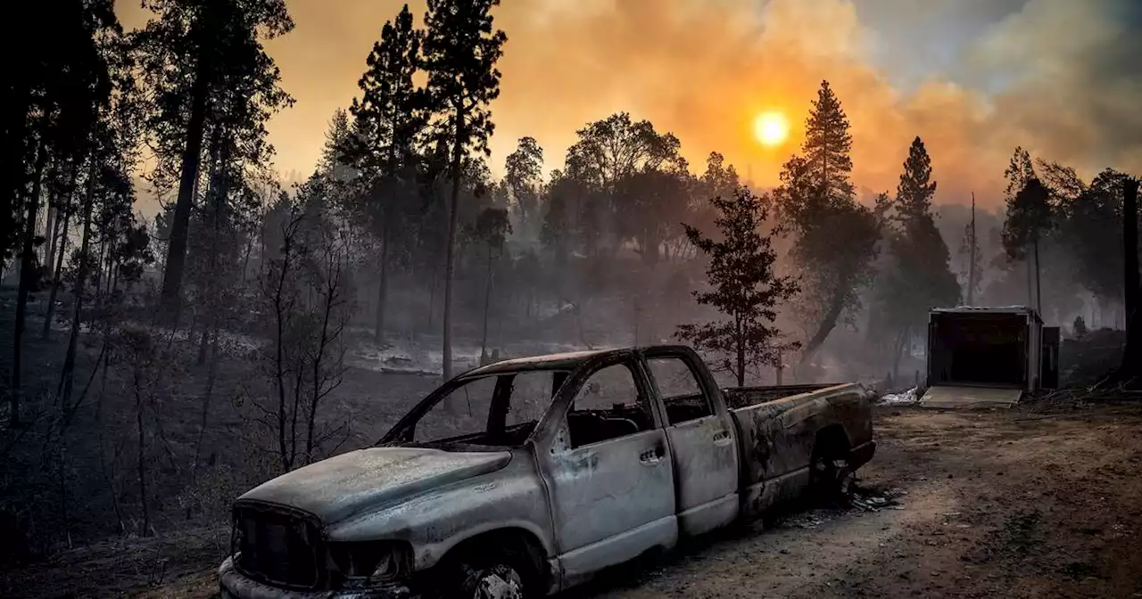 California forest fire burns out of control near Yosemite