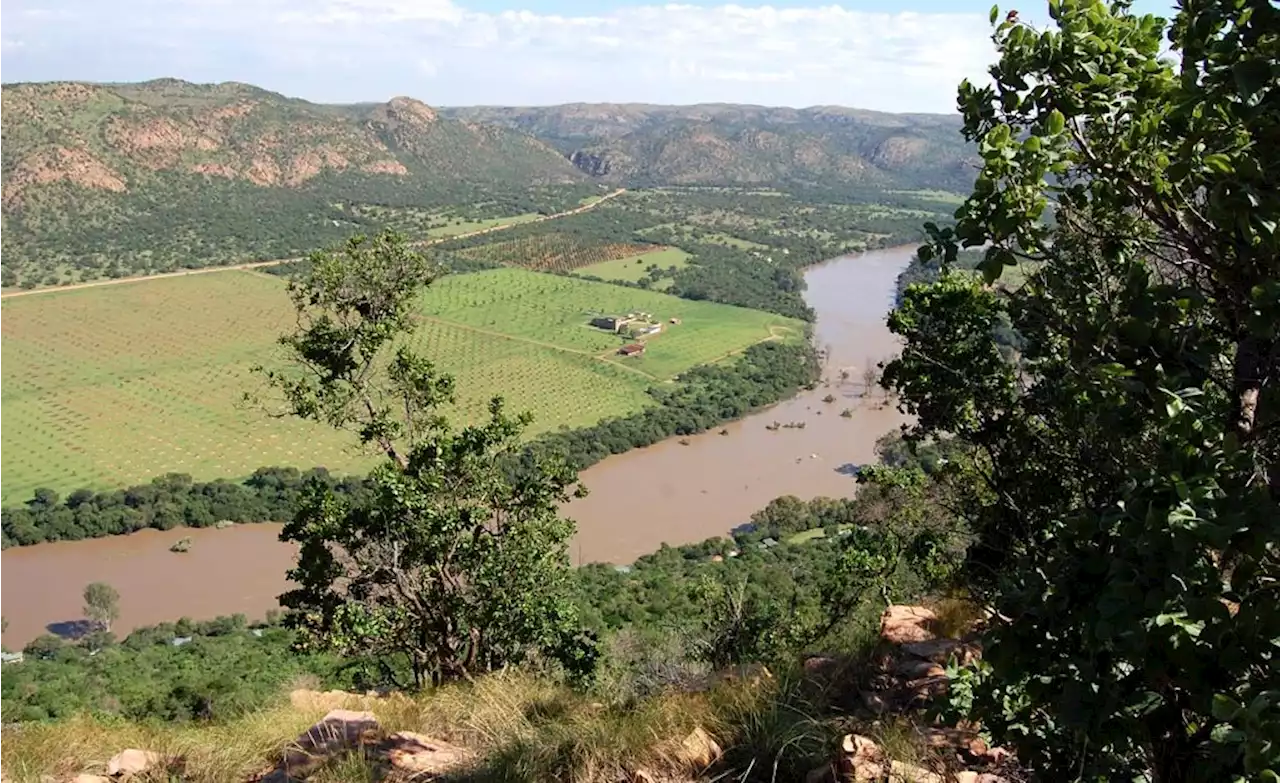 South Africa: Fish in a Major South African River Are Full of Microplastics