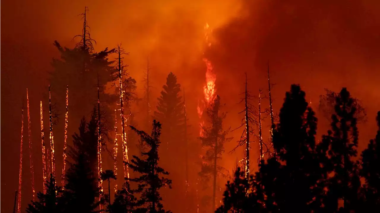 In photos: California's Oak Fire grows amid hot, dry conditions