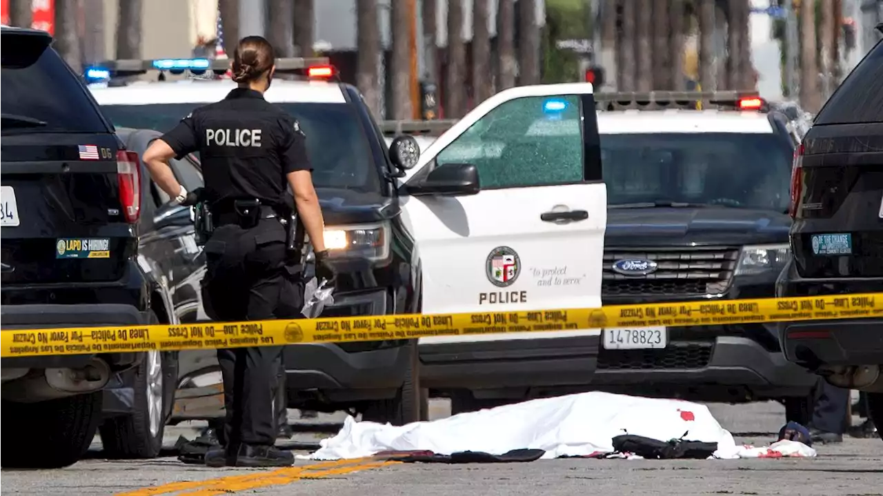 Los Angeles park shooting leaves 2 people dead and 5 others injured