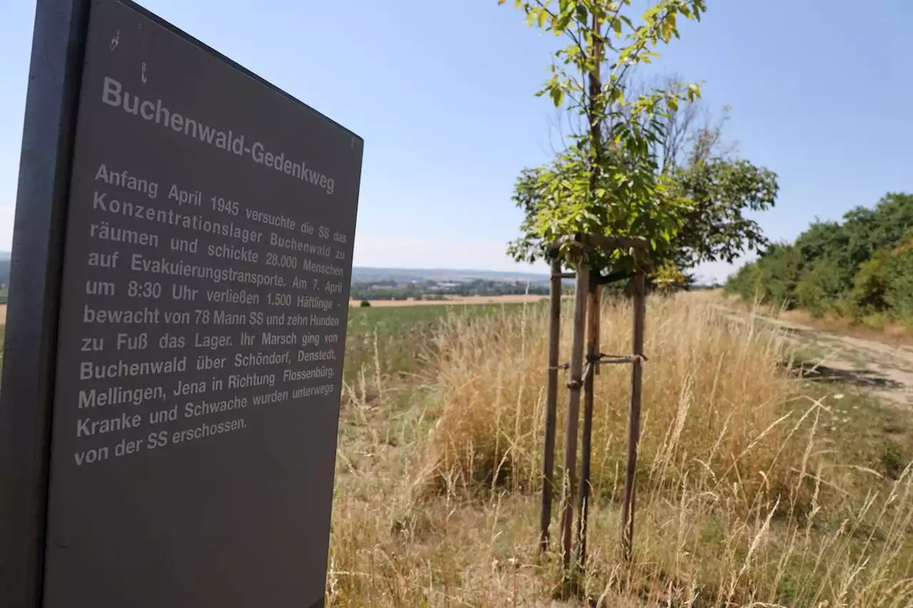 Erneut Vandalismus an KZ-Gedenkstätte Buchenwald: Ramelow bricht Urlaub ab