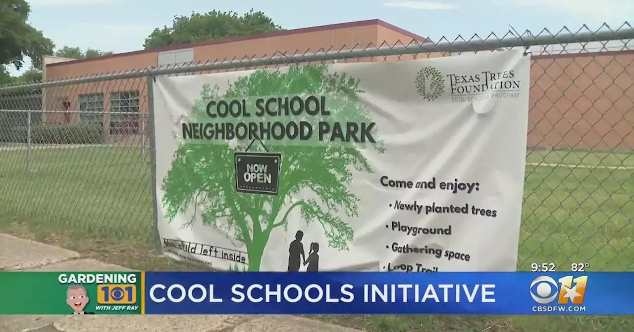 Gardening 101: Dallas' Cool Schools initiative turns campuses into outdoor learning centers