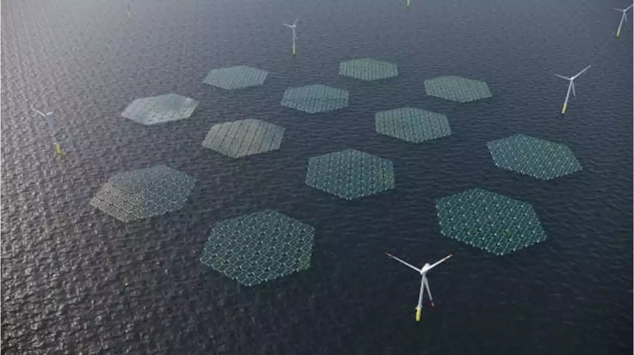 SolarDuck & RWE Will Build A Floating Solar Park In The North Sea (Video)