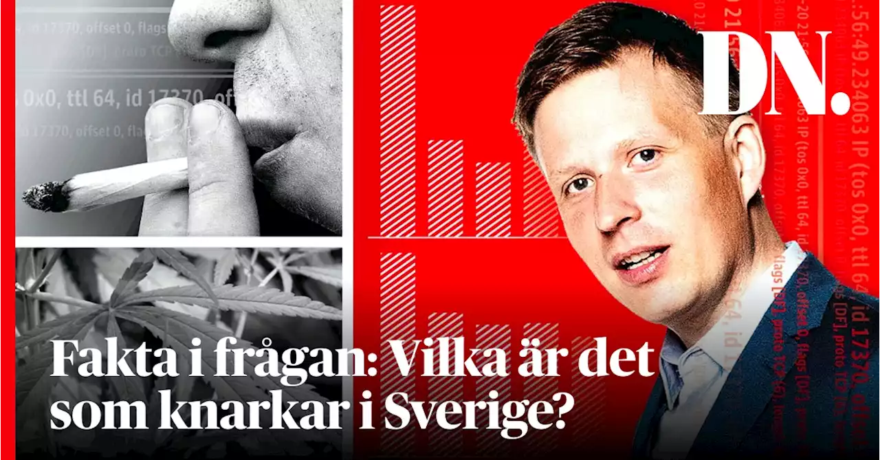 Fakta i frågan: Vilka är det som knarkar i Sverige?