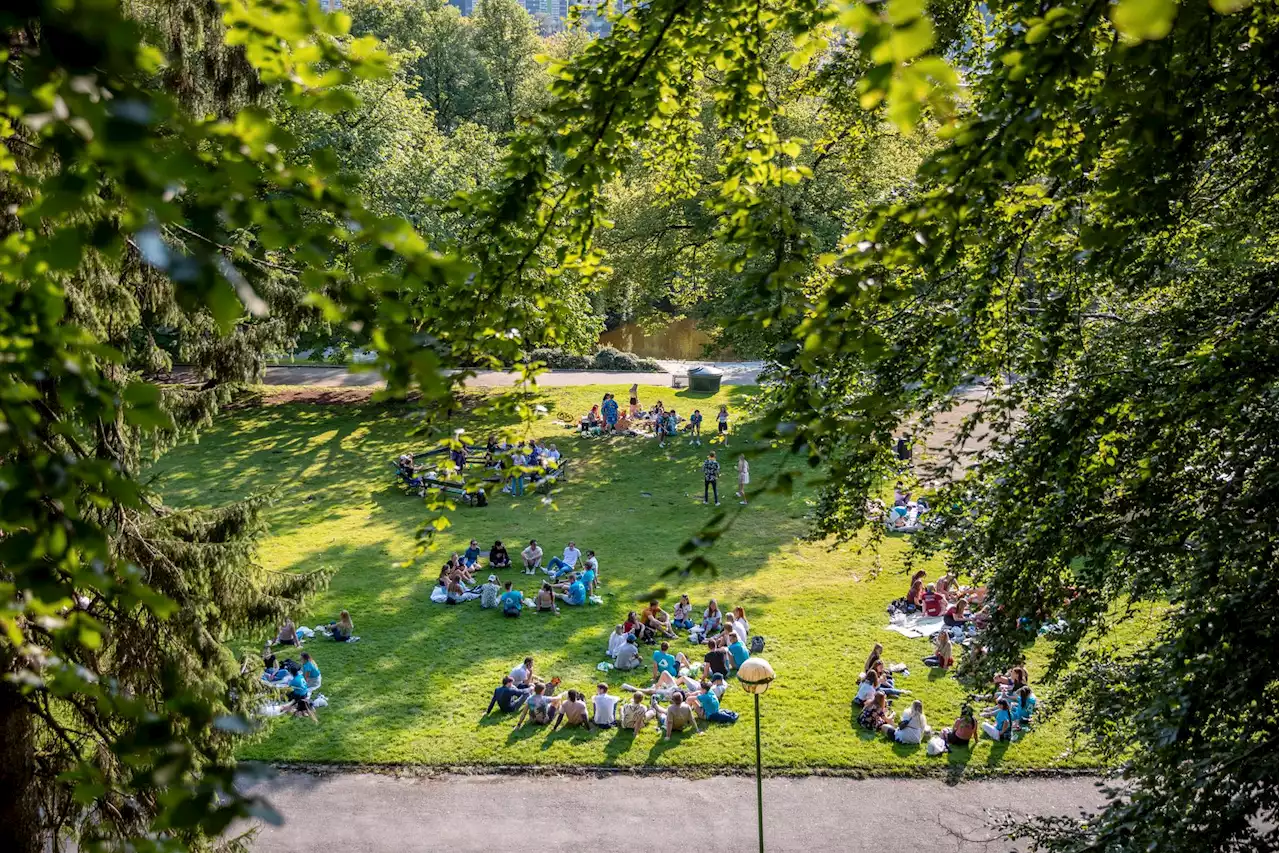 Ferskt NTNU-program klatrer på listen over økonomi- og administrasjonsstudier