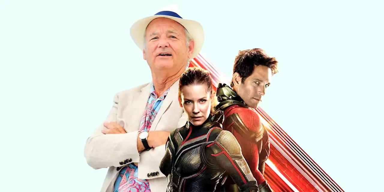 Turns Out, Bill Murray is Absolutely Entering the MCU