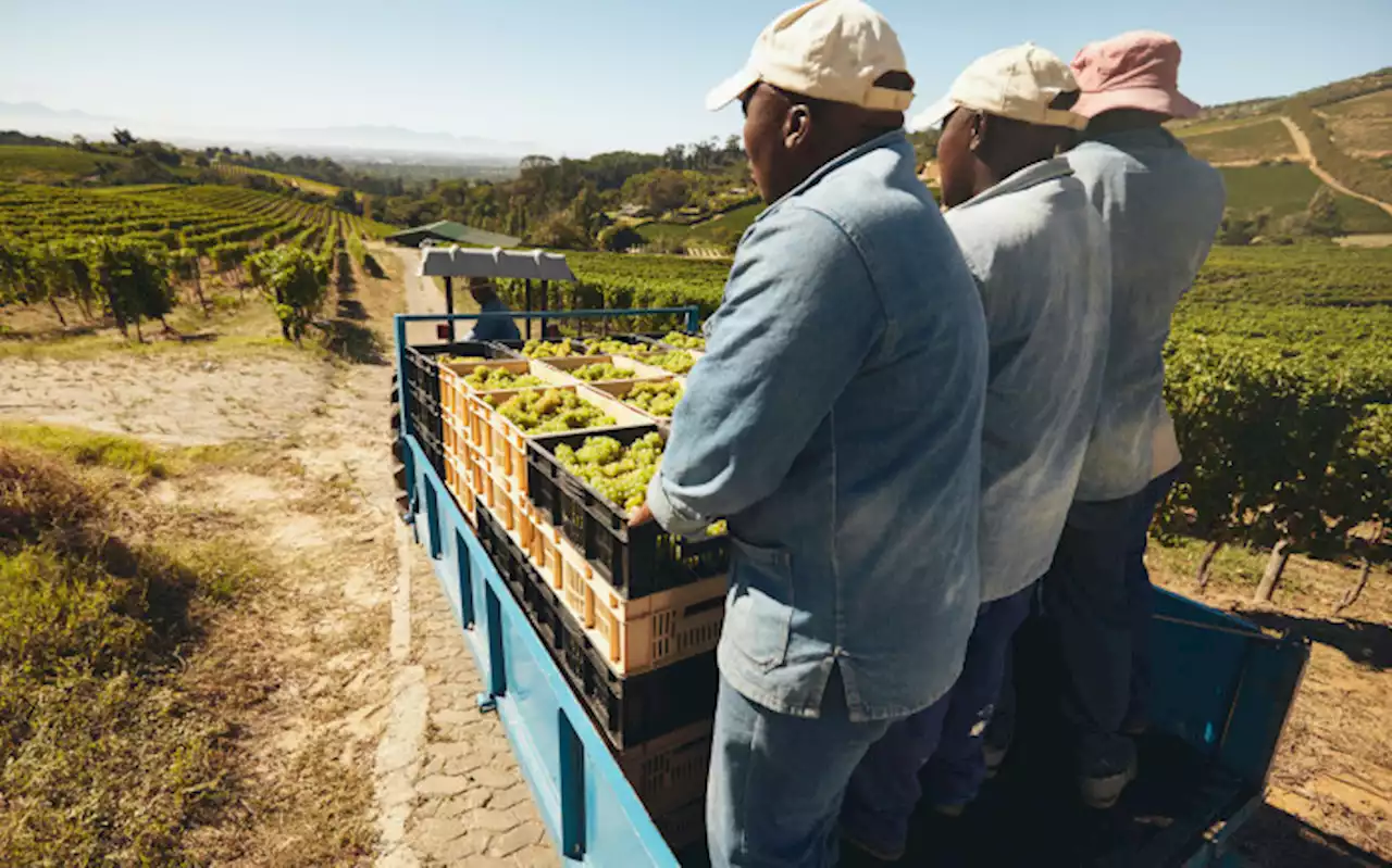 MPs hear of physical, verbal abuse farmers mete out to workers in WC