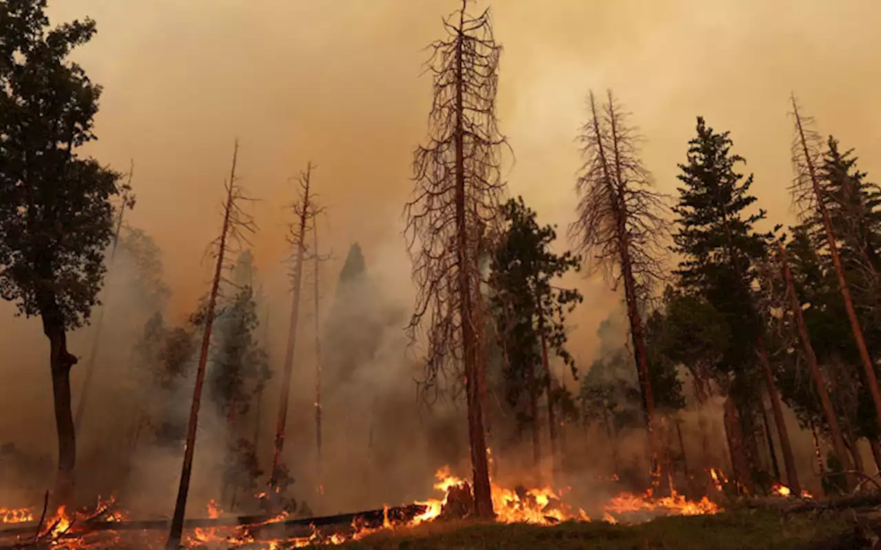 Thousands evacuated as California wildfire grows