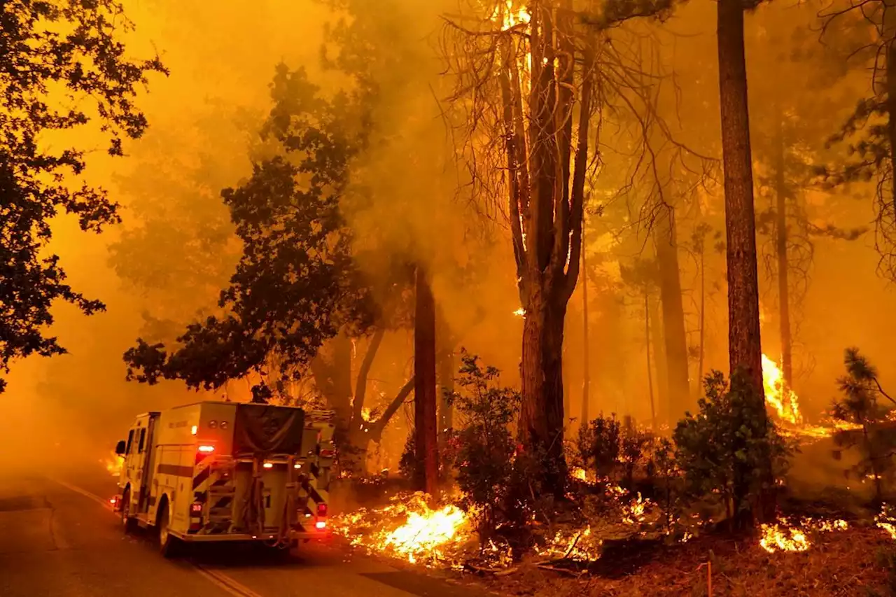 Thousands evacuated as California wildfire grows quickly