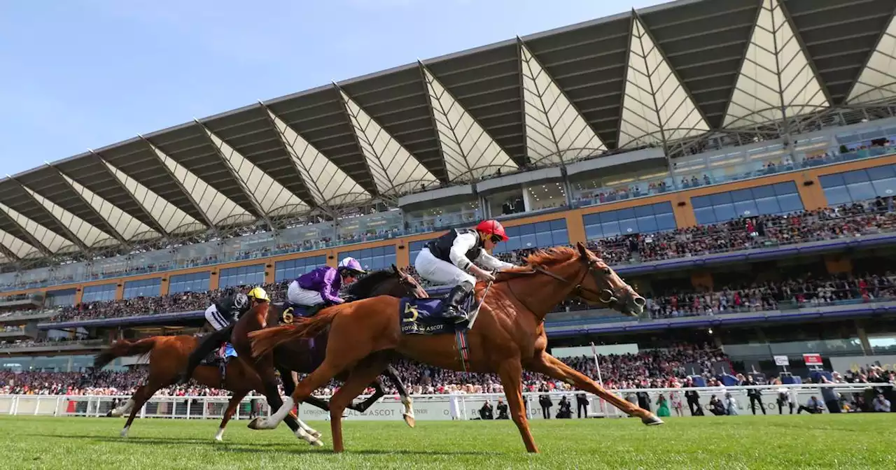 Aidan O’Brien’s Kyprios aiming to prove Goodwood Cup ‘spoilsport’