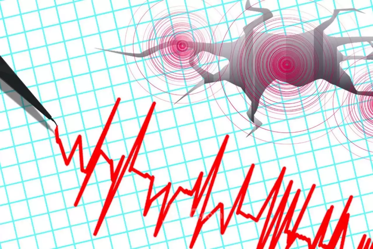 Gempa 3,7 SR Guncang Bali Tidak Berpotensi Tsunami, Ini Penjelasan BMKG Denpasar