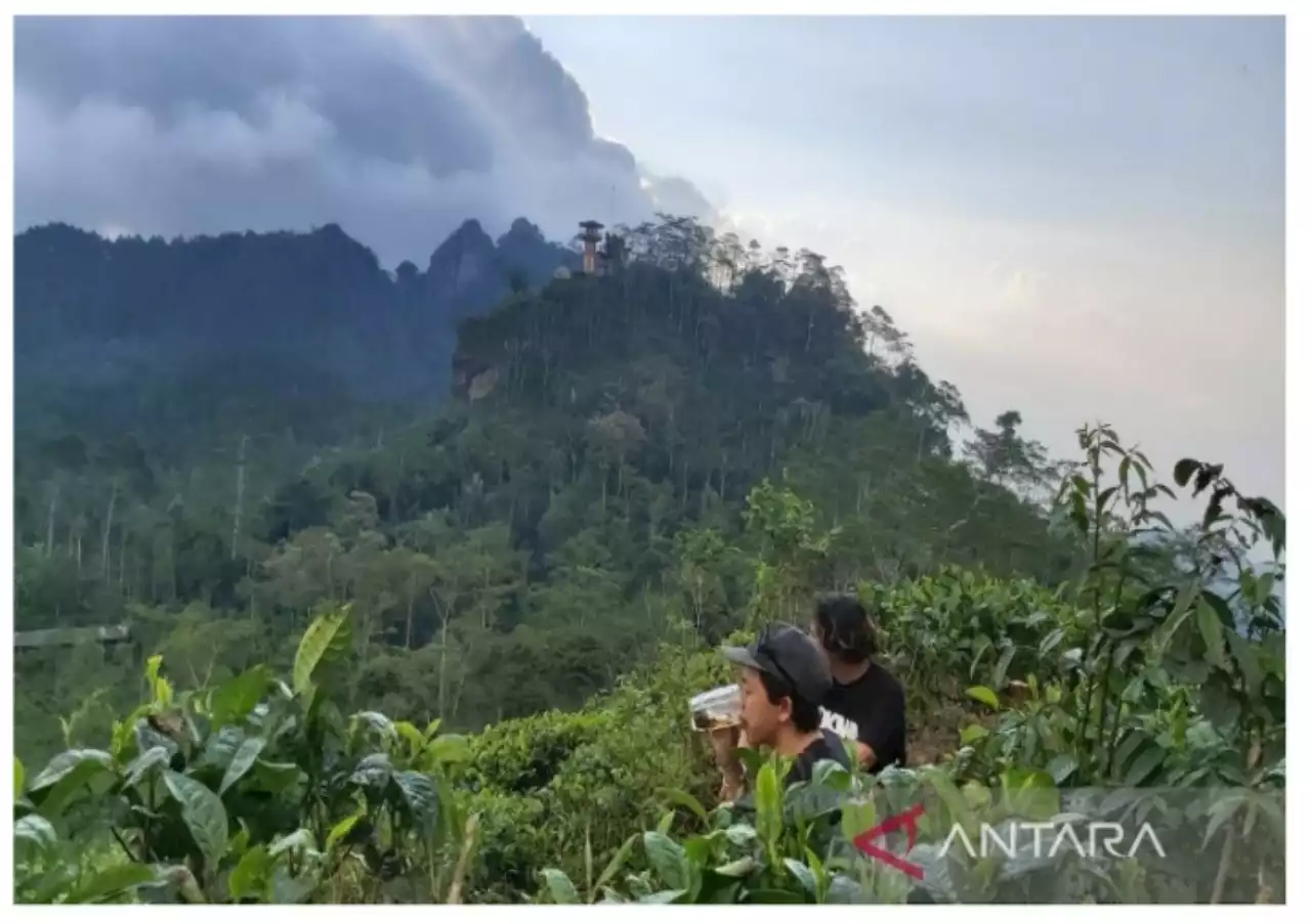 Lamban Membangun Infrastruktur, Dispar Kulon Progo Disentil Anggota Dewan