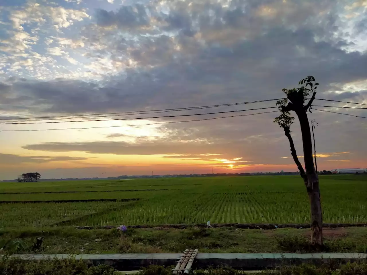 Prakiraan Cuaca Jawa Tengah Hari Ini, Potensi Hujan Ringan Tidak Merata, Umumnya Berawan