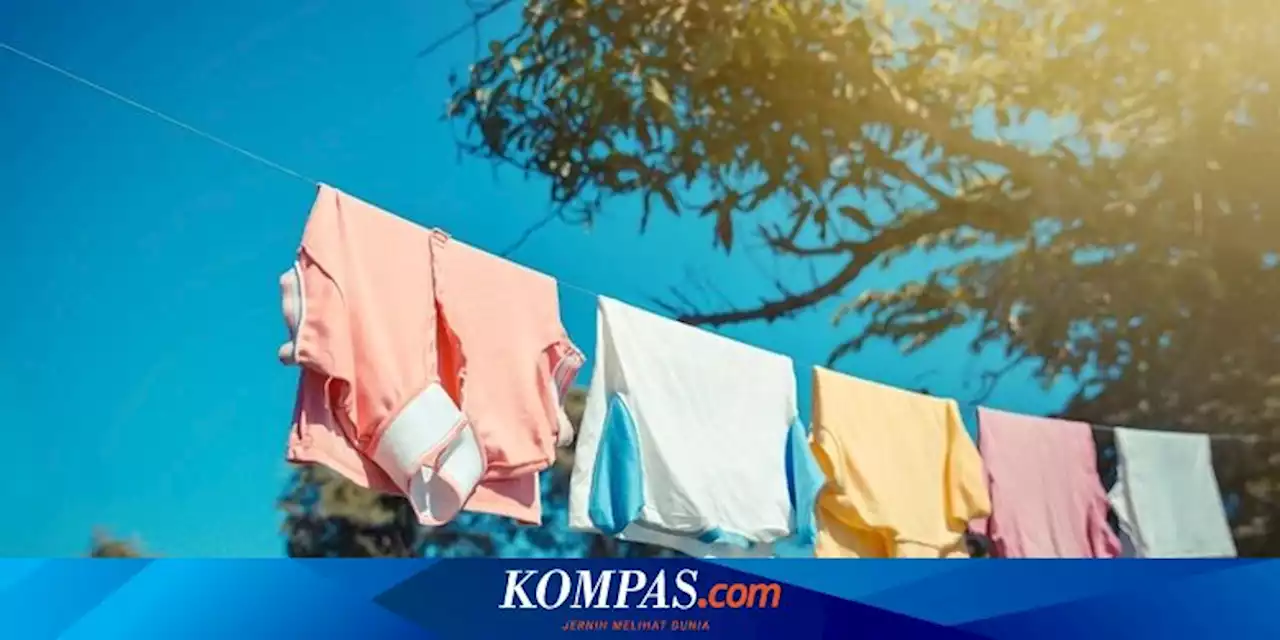 4 Alasan untuk Tidak Menjemur Pakaian di Luar Ruangan Secara Langsung