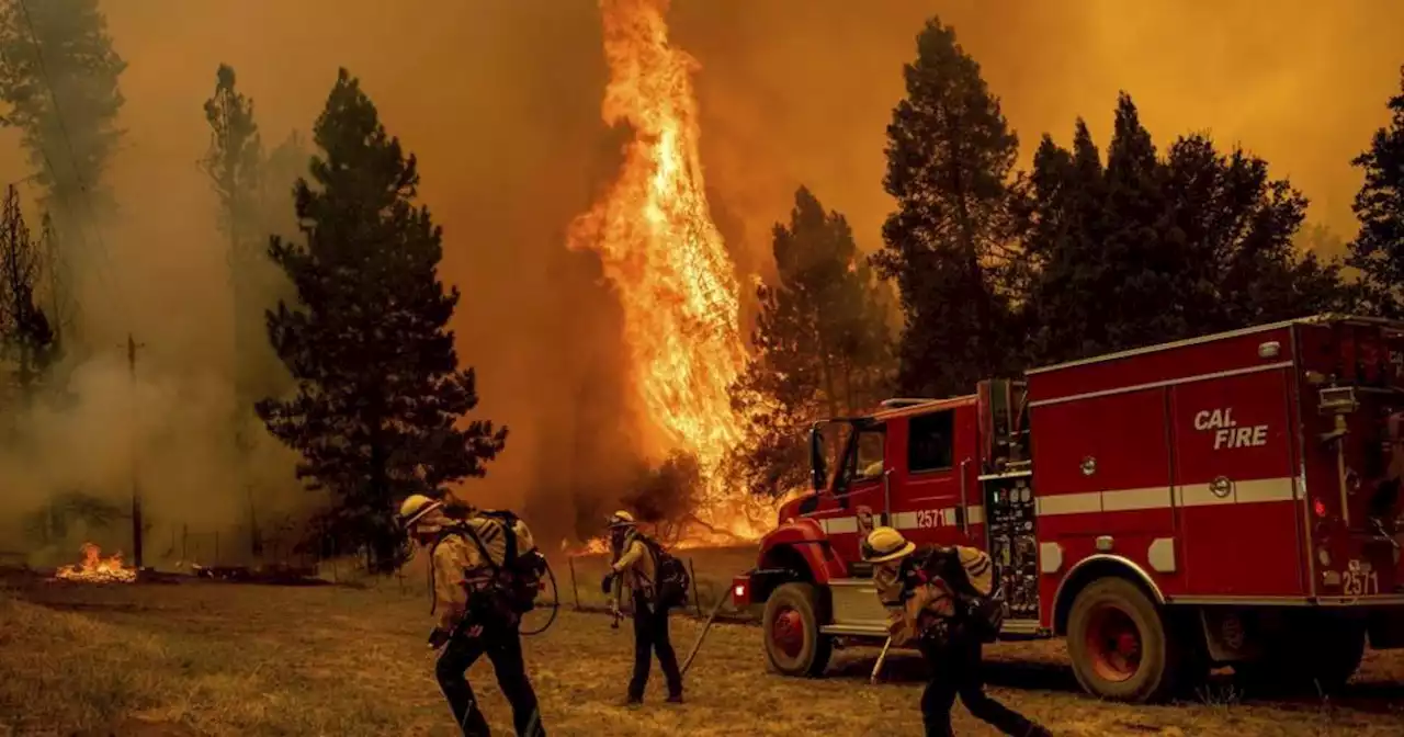 Thousands of firefighters battle growing Oak Fire burning outside Yosemite