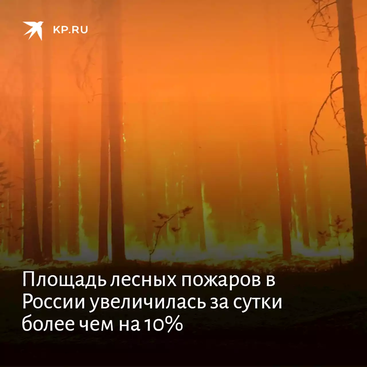 Площадь лесных пожаров в России увеличилась за сутки более чем на 10%