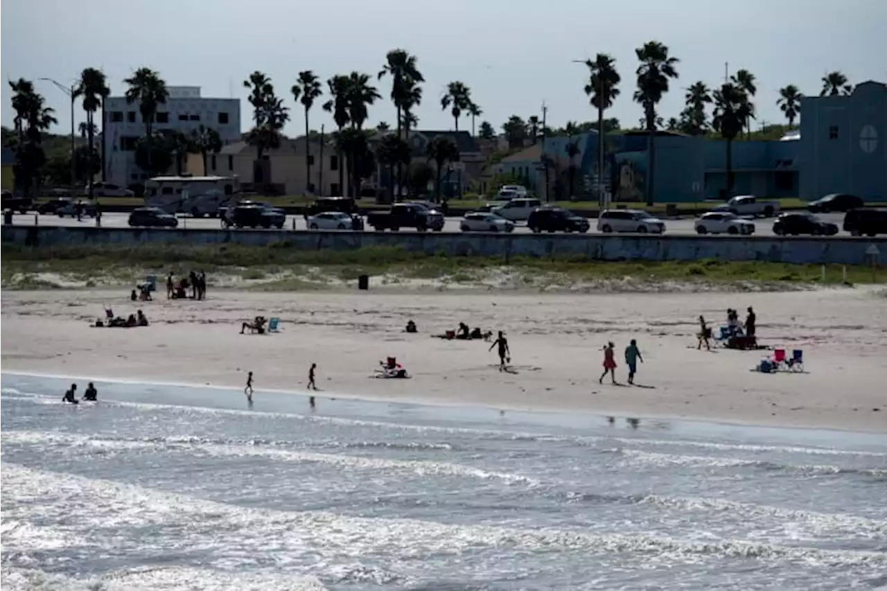 Port Aransas fish kill caused by low water levels