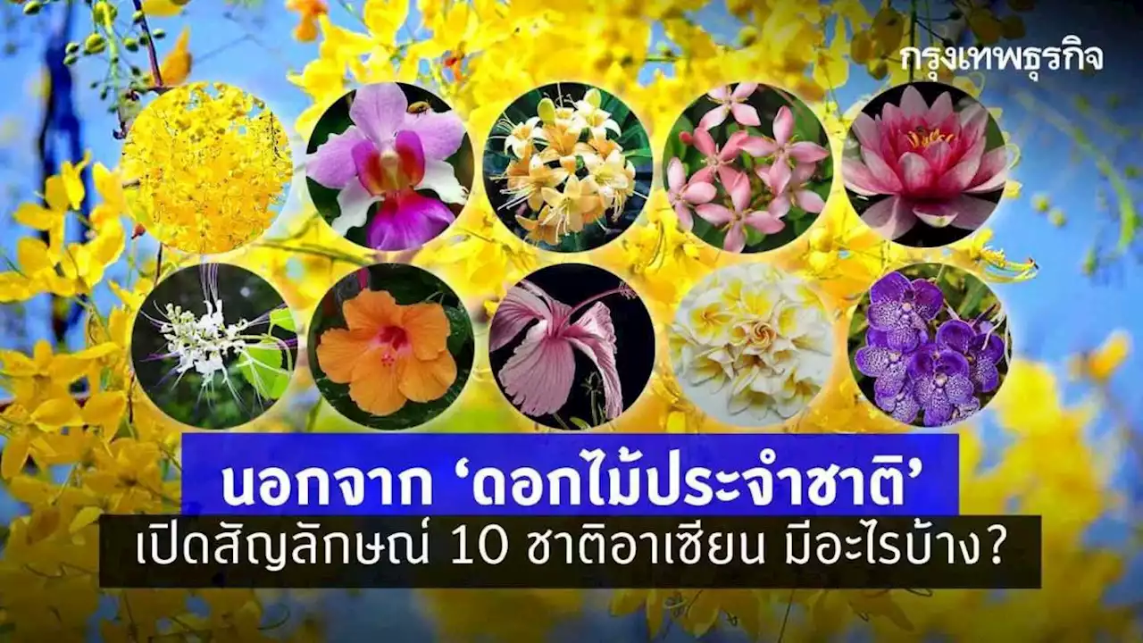 นอกจาก 'ดอกไม้ประจำชาติ' เปิดสัญลักษณ์ 10 ชาติอาเซียน มีอะไรบ้าง?