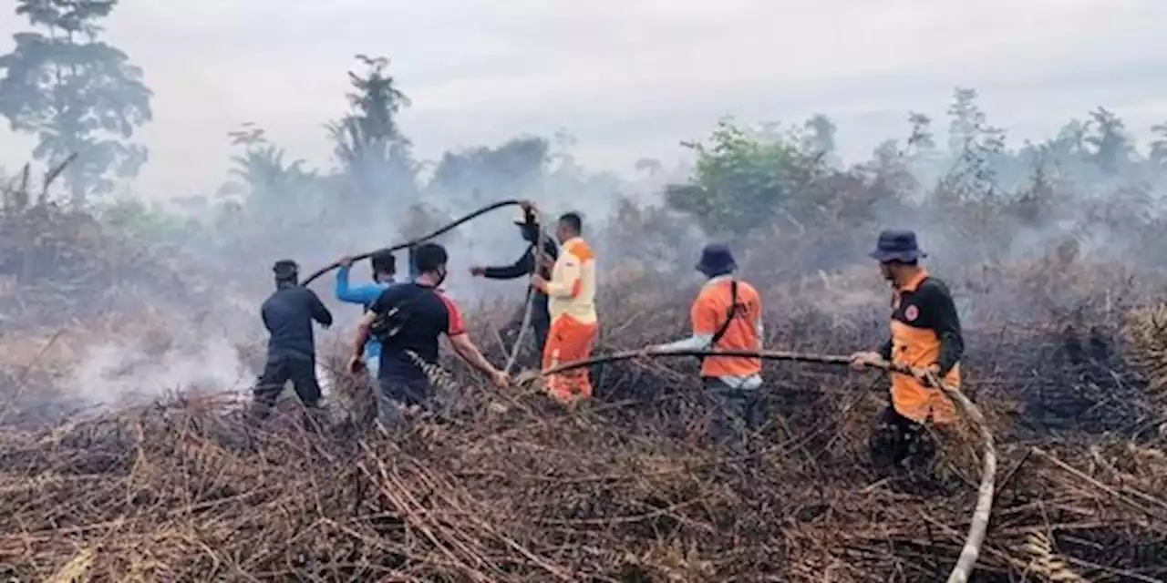 BMKG: Seluruh Wilayah NTT Berstatus Sangat Mudah Terjadi Karhutla | merdeka.com