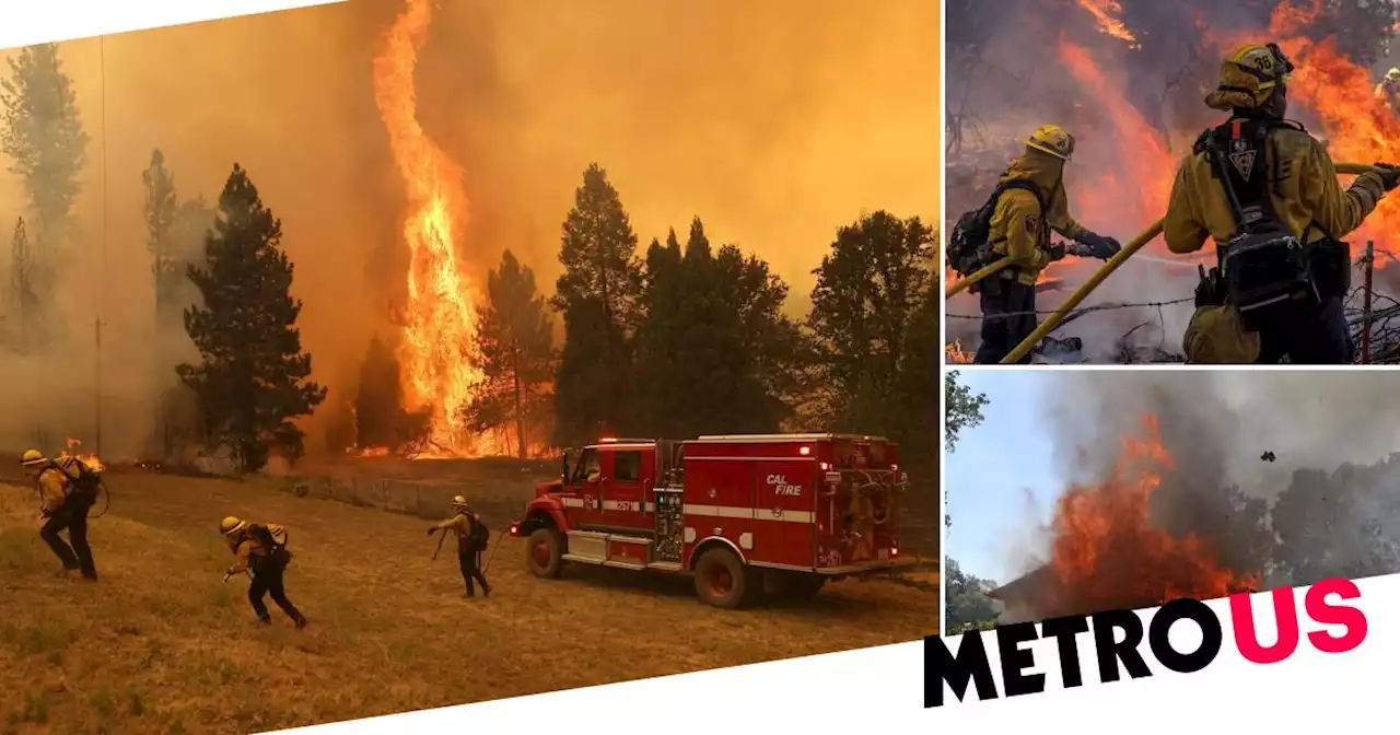 Homes destroyed in huge wildfire with state of emergency declared in California