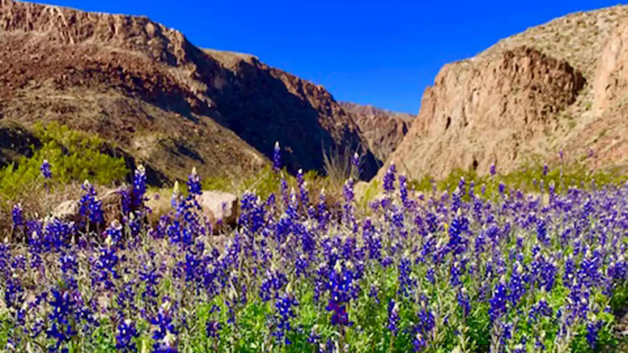 Big Bend Hiker Found Dead Amid Extreme Heat