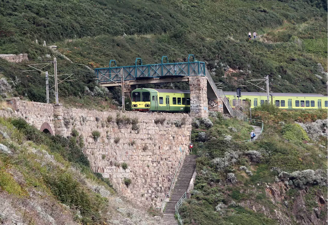 Irish Rail to launch full investigation into DART chaos at Bray Air Show