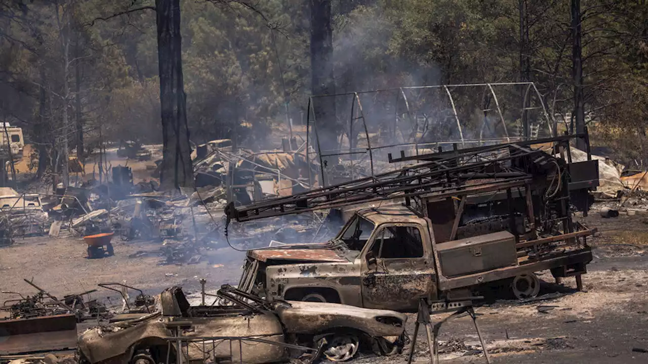 Voraz incendio en el Parque Yosemite, en California | Las autoridades informan que el fuego avanza descontrolado