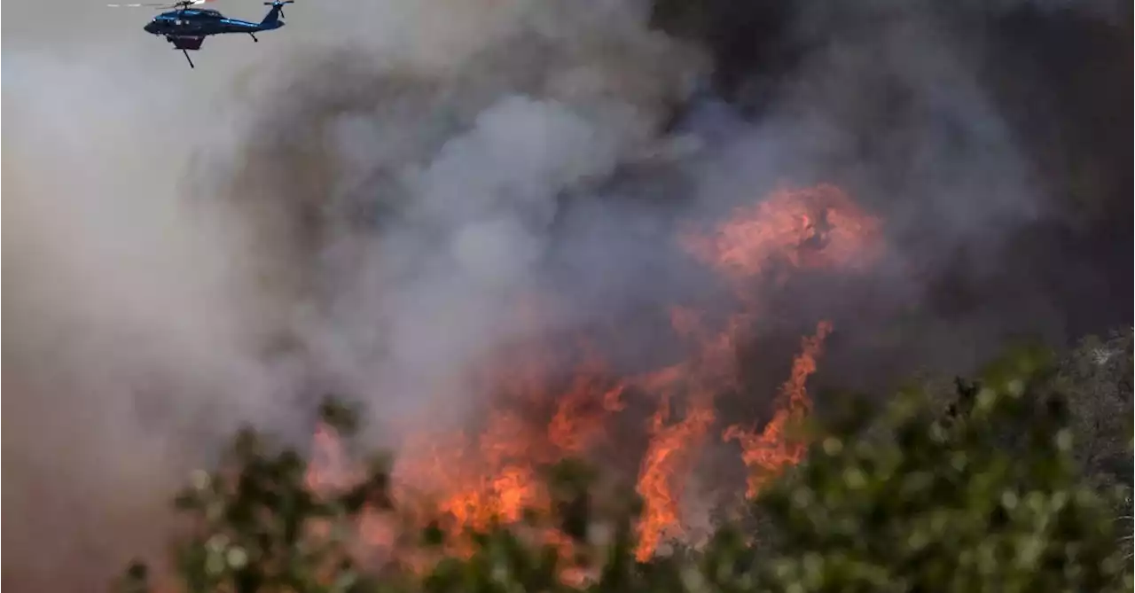 California wildfire near Yosemite National Park expands overnight