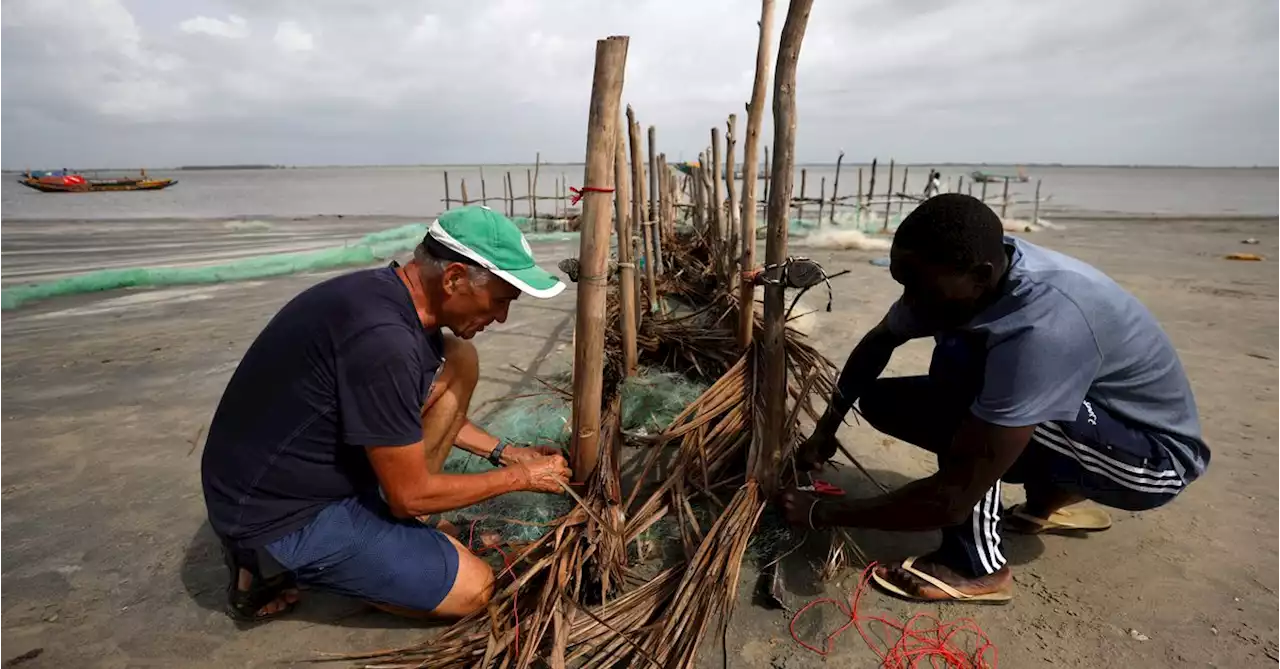 Senegalese island keeps coastal erosion at bay with stakes in the sand