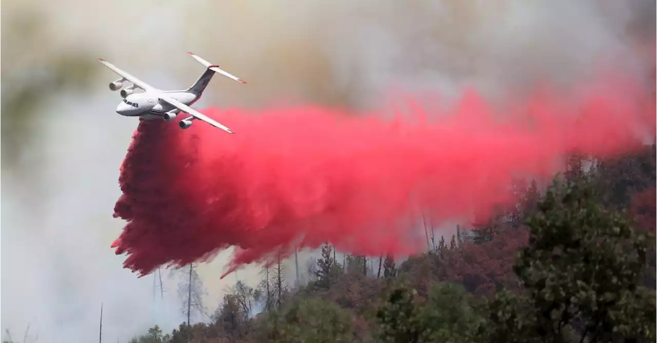 Thousands evacuated as California's Oak Fire spreads toward Yosemite