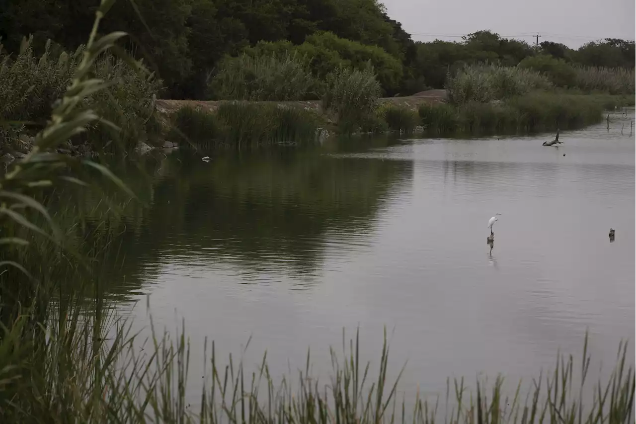 SAWS deems Mitchell Lake wetlands pilot a success