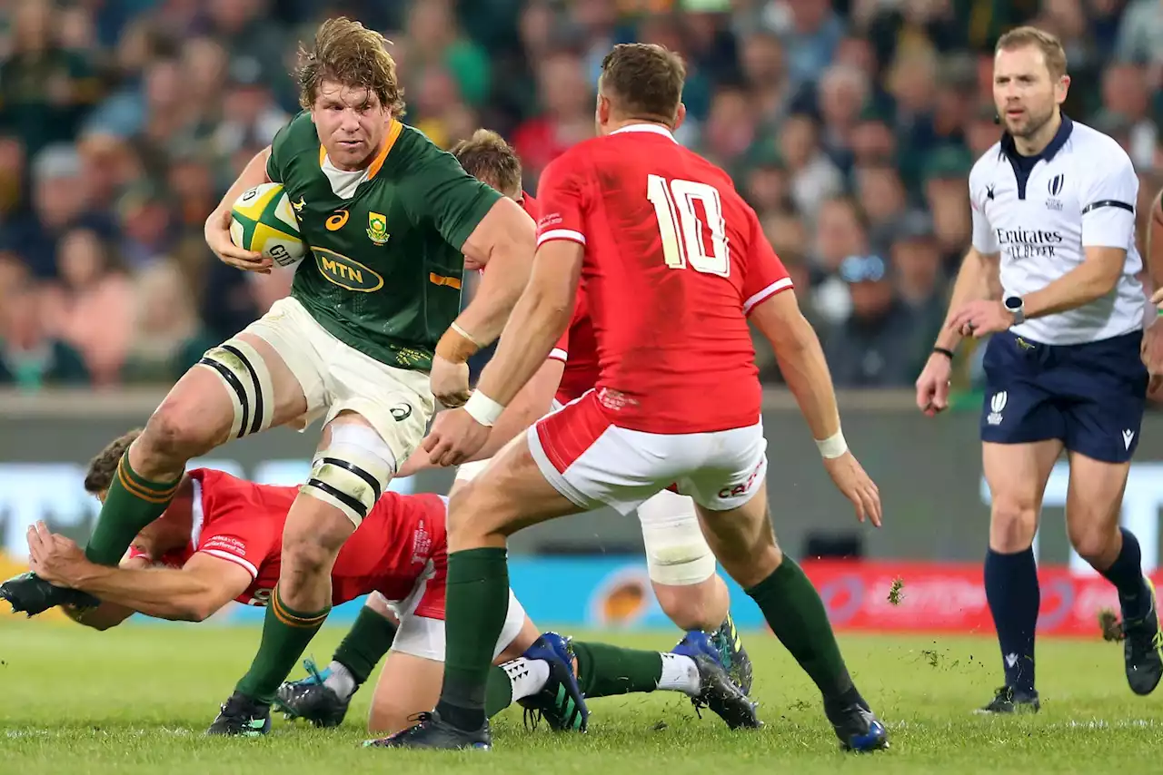 Bok A team to face NZ XV in November