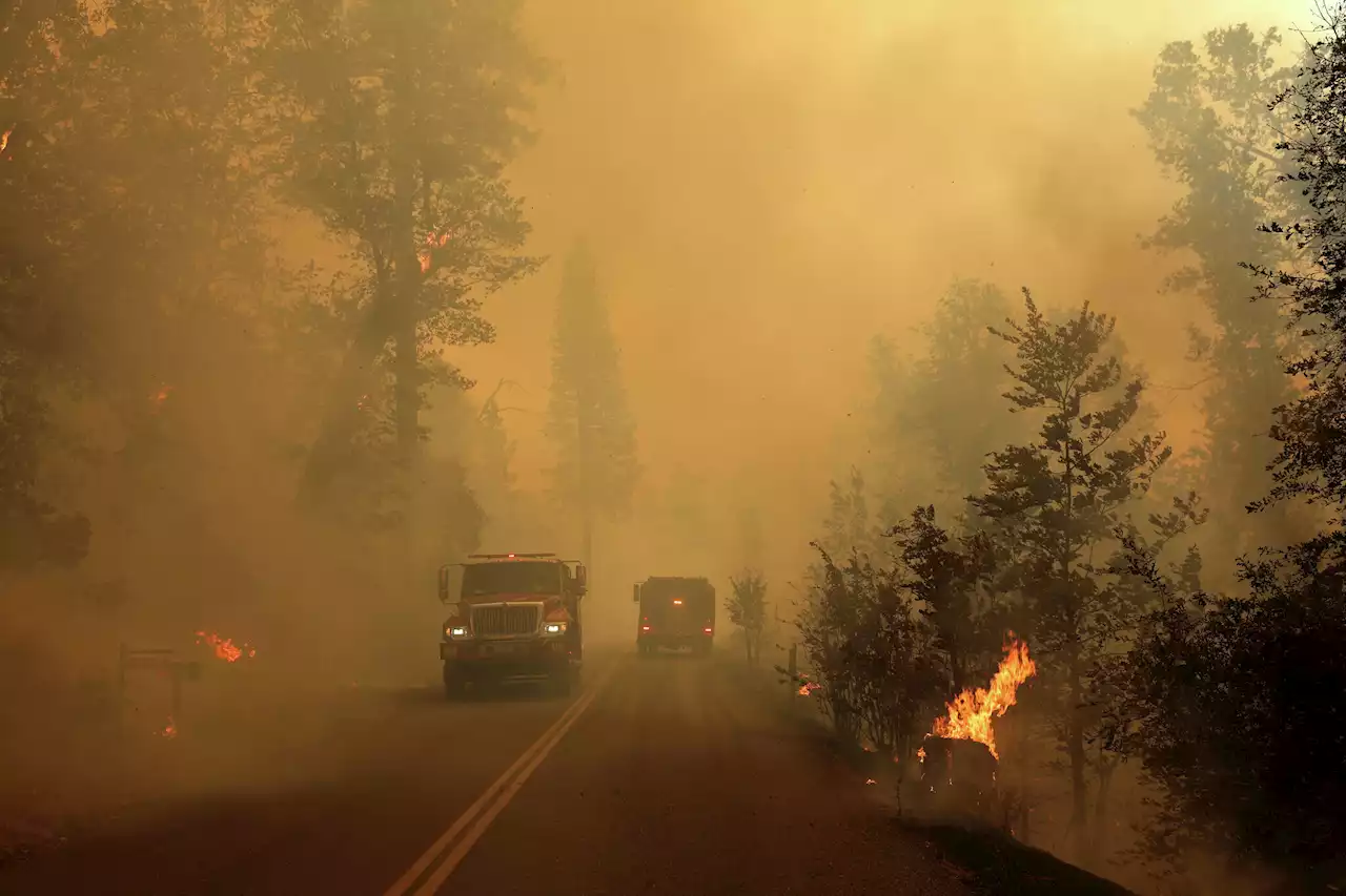 Fire map: See where the Oak Fire is burning near Yosemite