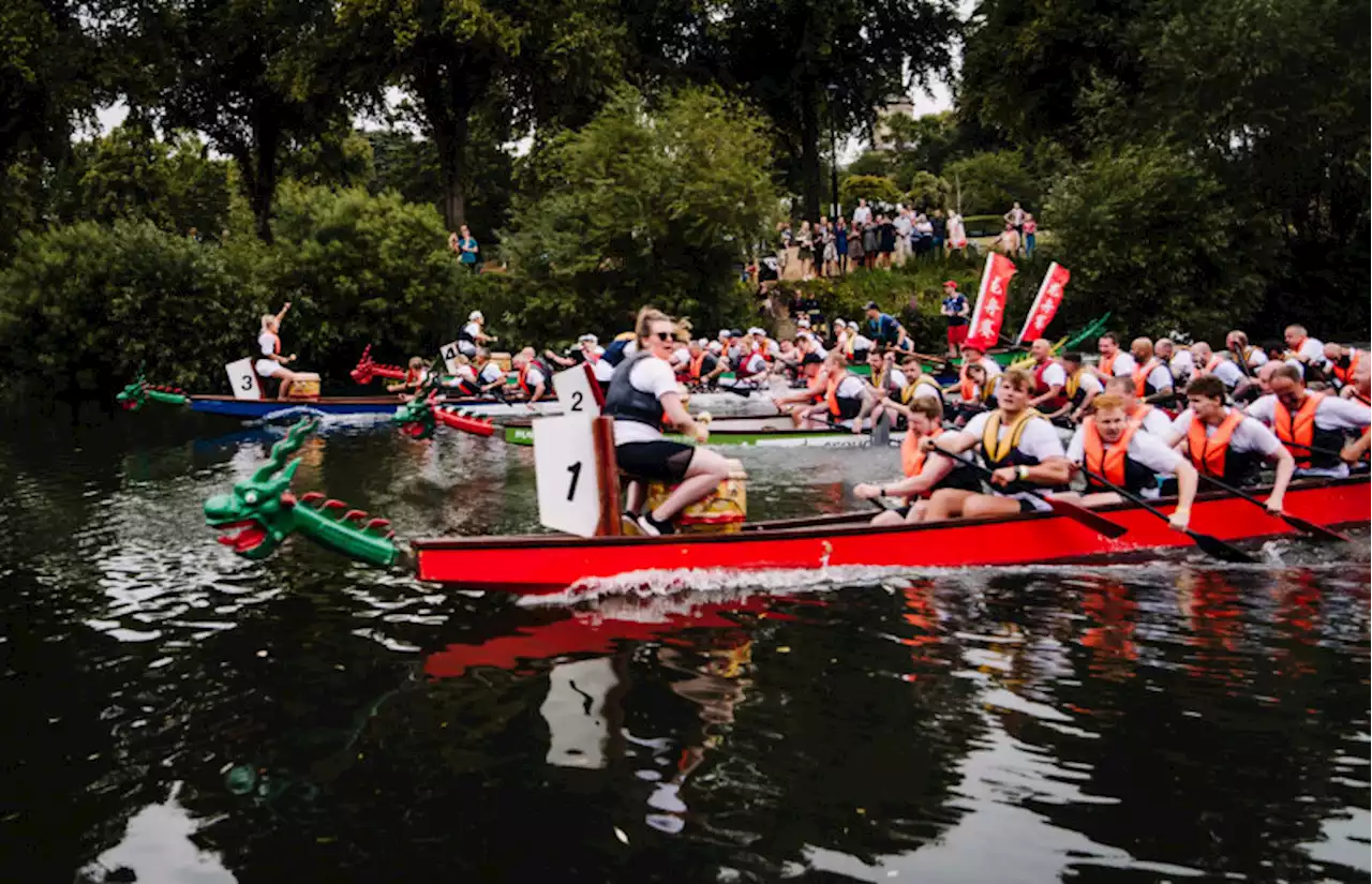 Severn Hospice’s Dragon boat festival is an oar-some success