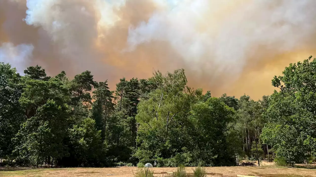 London and Surrey fires: 'Weather-related' blazes largely 'under control' after crews dispatched to 'major incident'